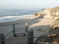 Coastal Beach: Wood Horizon Under a Clear Sky