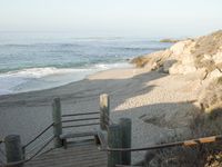 Coastal Beach: Wood Horizon Under a Clear Sky