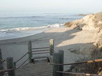 Coastal Beach: Wood Horizon Under a Clear Sky