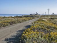 Coastal California: Beautiful Landscape with Ocean View