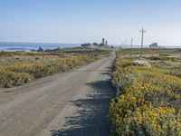 Coastal California: Beautiful Landscape with Ocean View