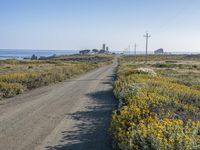 Coastal California: Beautiful Landscape with Ocean View