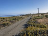 Coastal California: Beautiful Landscape with Ocean View