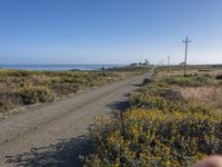 Coastal California: Beautiful Landscape with Ocean View