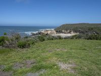 an ocean beach and cliffs with a lone blue chair on the ground near water and grass