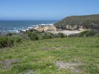 an ocean beach and cliffs with a lone blue chair on the ground near water and grass