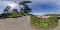 a fish eye lens image of a winding road, with houses and beach on either side of the street