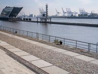 Coastal Charm of Hamburg, Germany: Marina Views