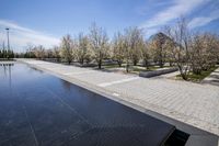 Coastal City Architecture: Reflections on the Water