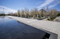 Coastal City Architecture: Reflections on the Water