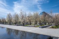 Coastal City Architecture: Reflections on the Water