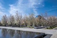 Coastal City Architecture: Reflections on the Water