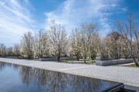 Coastal City Architecture: Reflections on the Water