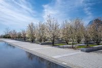 Coastal City Architecture: Reflections on the Water