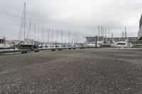 Coastal City in Australia: Marina and Harbor