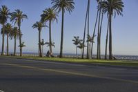 Coastal City at Dawn: Residential Urban Landscape