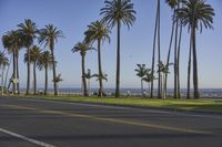 Coastal City at Dawn: Residential Urban Landscape 003