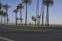Coastal City Dawn Residential Urban Landscape 004