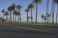 Coastal City Dawn Residential Urban Landscape 006