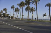 Coastal City Dawn Residential Urban Landscape 007