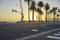 Coastal City at Dawn on Road