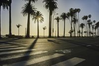 Coastal City at Dawn: A Stunning Sunrise