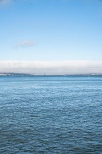 Coastal City: A Day View of the Ocean