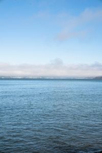 Coastal City: A Day View of the Ocean