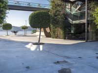 trees and some bushes in front of a building with an open area and stairs above it