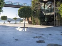 trees and some bushes in front of a building with an open area and stairs above it