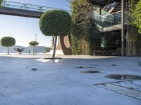 trees and some bushes in front of a building with an open area and stairs above it