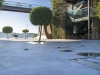 trees and some bushes in front of a building with an open area and stairs above it