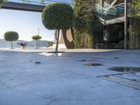 trees and some bushes in front of a building with an open area and stairs above it