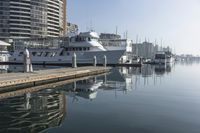 Coastal City: Los Angeles, California