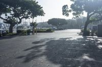 this is an empty street with many boats in the water nearby it is surrounded by trees