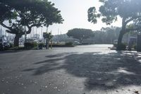 this is an empty street with many boats in the water nearby it is surrounded by trees