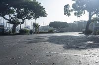 this is an empty street with many boats in the water nearby it is surrounded by trees