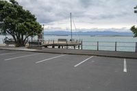 Coastal City in New Zealand Under Grey Sky