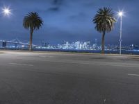 palm trees next to the street with a bridge and night skyline in the background under cloudy skies