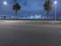 palm trees next to the street with a bridge and night skyline in the background under cloudy skies