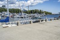 Coastal City in Ontario, Canada