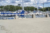 Coastal City in Ontario, Canada