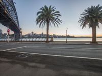 the palm trees next to a road near a street with buildings and a bridge on one side