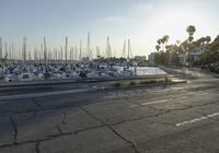 Coastal City Road with Ocean View, Trees and Boat