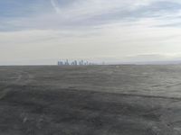Coastal City Skyline View
