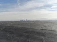 Coastal City Skyline View