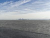 Coastal City Skyline View