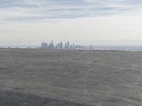 Coastal City Skyline View