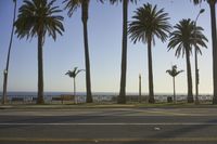 Coastal City at Sunrise: A Stunning Landscape