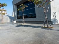 a building with two trees in front of it that reads gourmeto on the outside